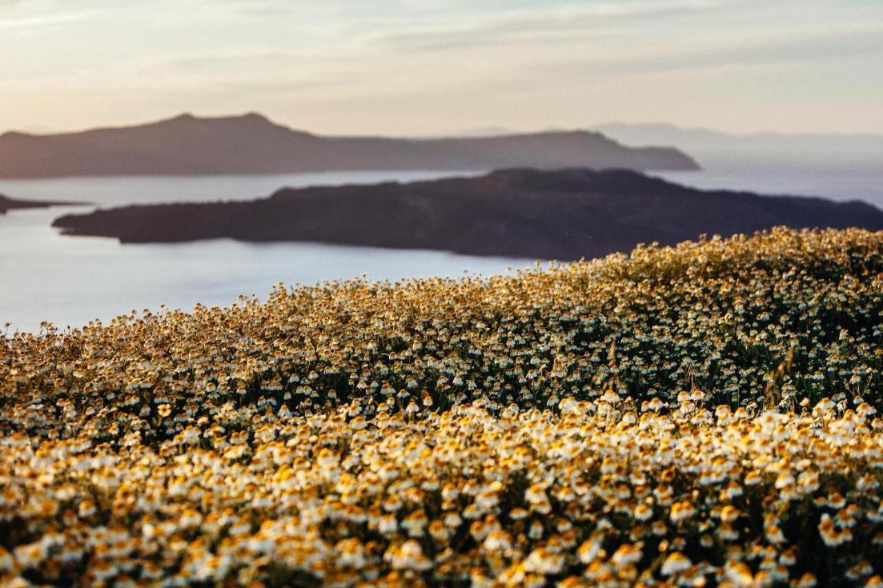 Arcana Santorini Villas, An Authentic Cycladic Experience Akrotírion Kültér fotó
