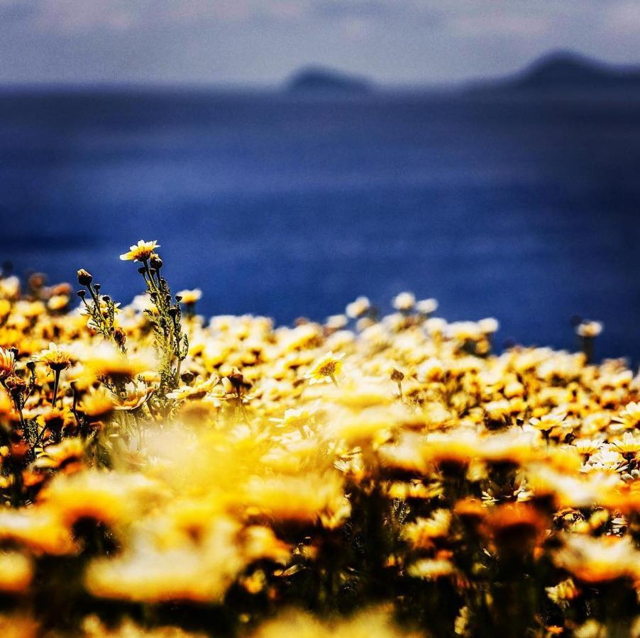 Arcana Santorini Villas, An Authentic Cycladic Experience Akrotírion Kültér fotó