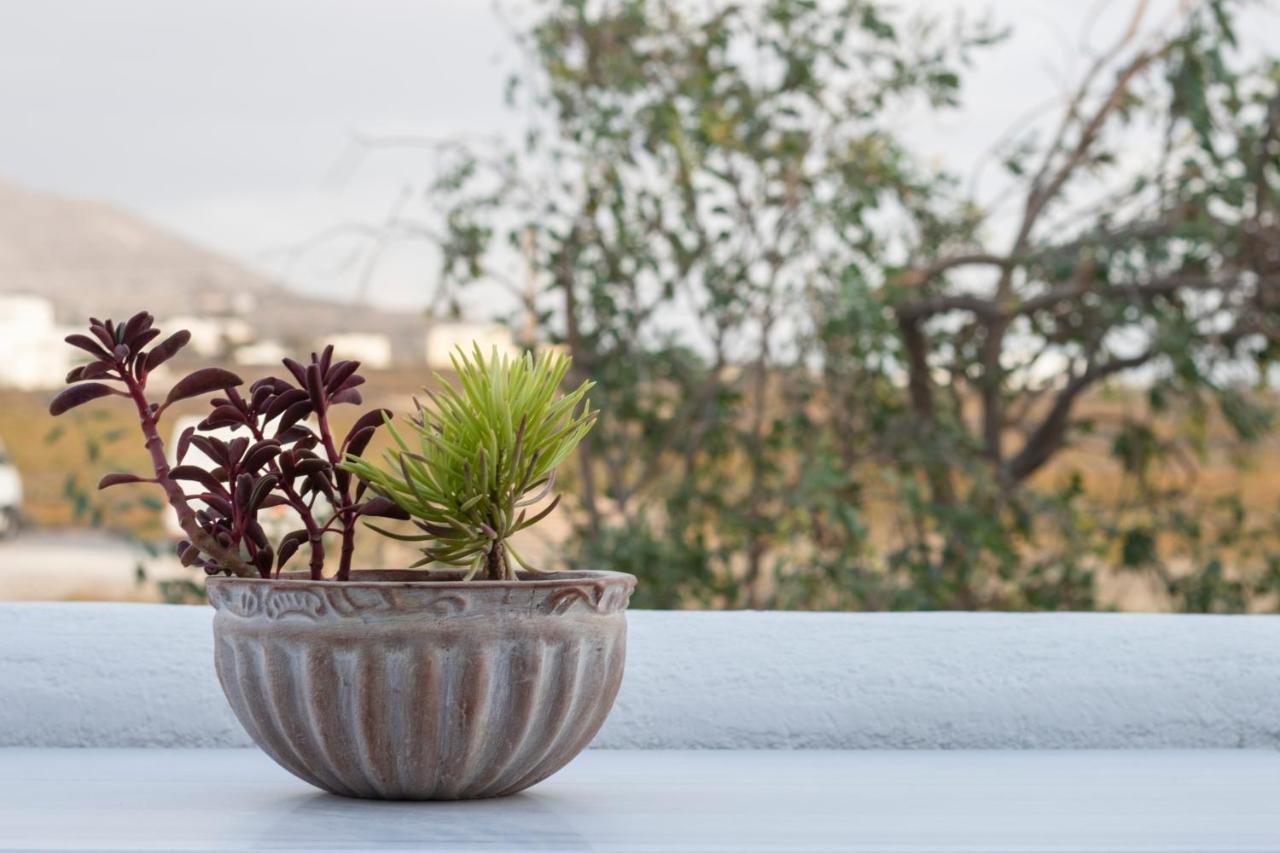 Arcana Santorini Villas, An Authentic Cycladic Experience Akrotírion Kültér fotó